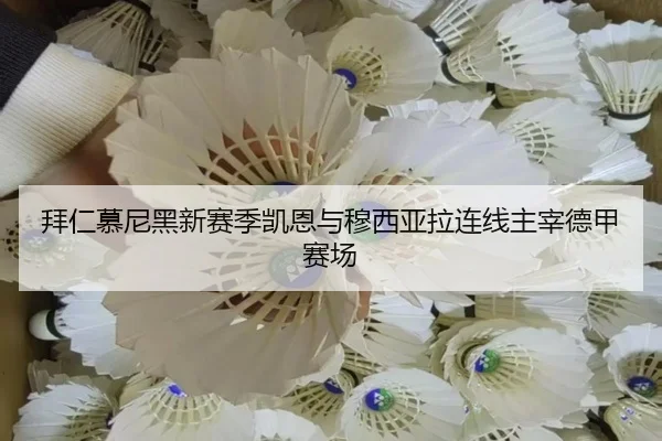 bai-ren-mu-ni-hei-xin-sai-ji-kai-en-yu-mu-xi-ya-la-lian-xian-zhu-zai-de-jia-sai-chang-3-445.jpg