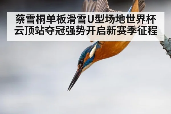 蔡雪桐单板滑雪U型场地世界杯云顶站夺冠强势开启新赛季征程