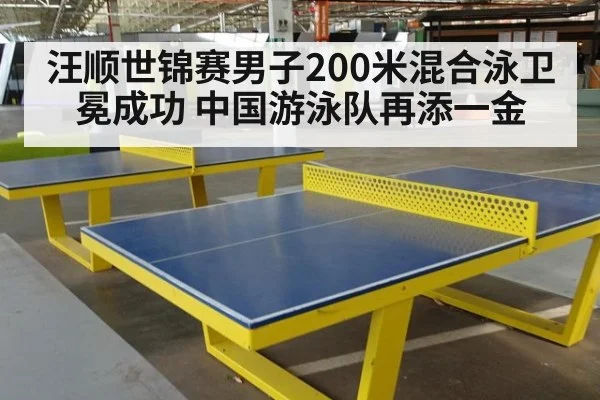 汪顺世锦赛男子200米混合泳卫冕成功 中国游泳队再添一金